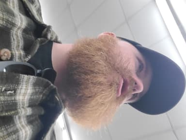 Ladd Creator
